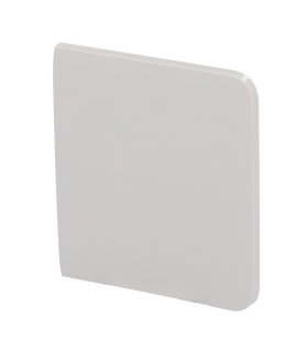 Ajax Sidebutton Touch Panel for light switch, RAL 9002 Oyster colour
