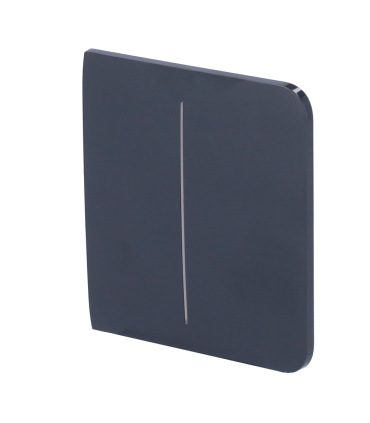 Panneau tactile pour un double interrupteur d'éclairage Couleur graphite