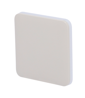 Panneau tactile pour interrupteur d'éclairage Couleur huître