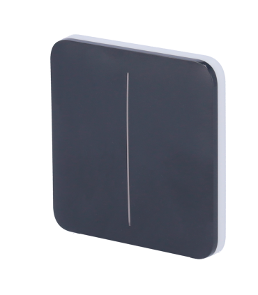 Panel táctil para interruptor de luz doble Color grafito