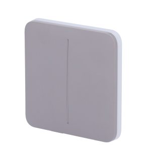 Panneau tactile pour double interrupteur d'éclairage Couleur grise