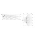Ajax Superior MotionCam (PhOD) Fibra Blanco | Lisintec