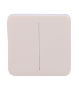 Panneau tactile pour double interrupteur d'éclairage ivoire